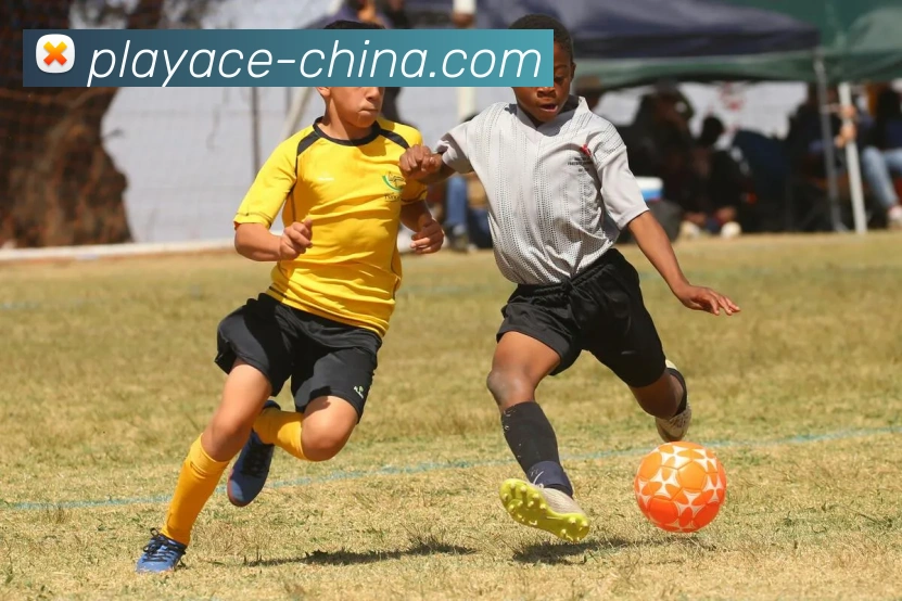 PA真人官网发展历程